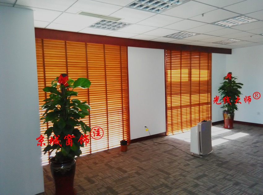 ��������ľ��Ҷ����